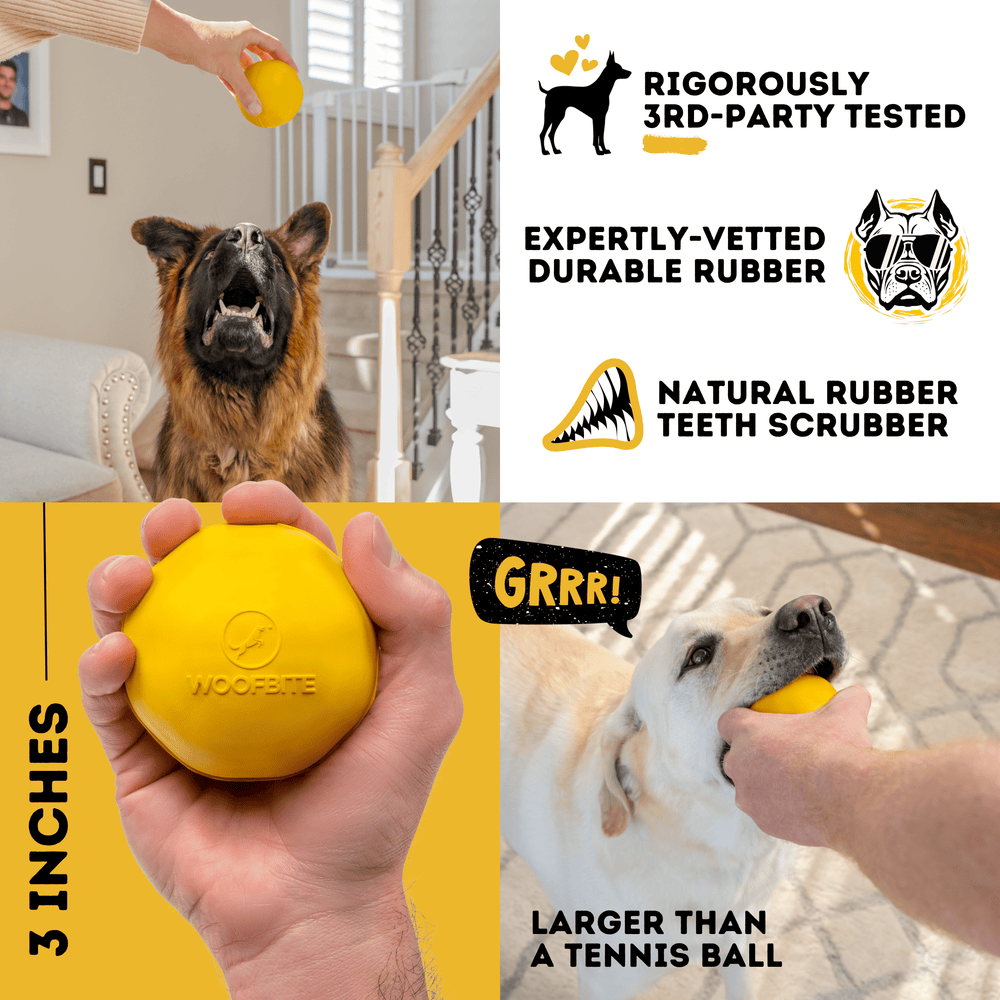 Monster K9 Dog Toys - Power Ball