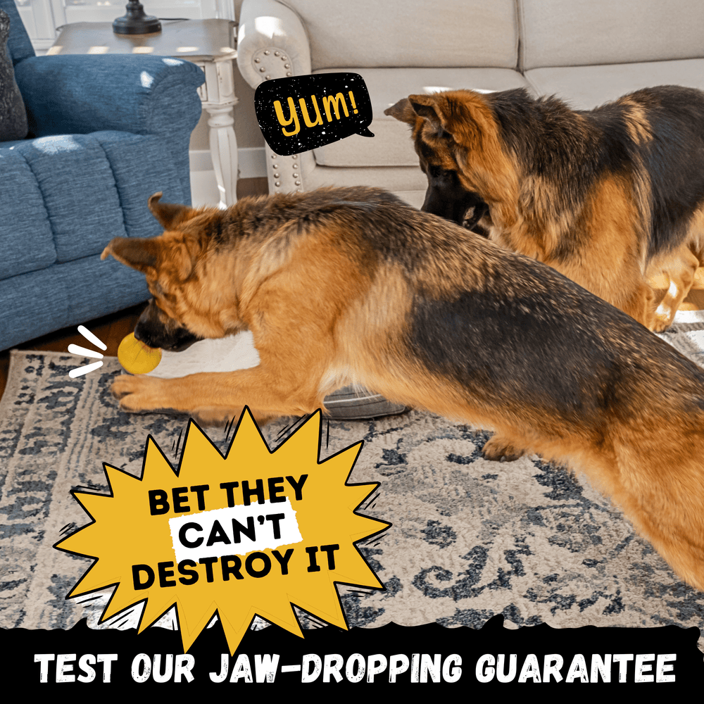 Monster K9 Dog Toys - Power Ball