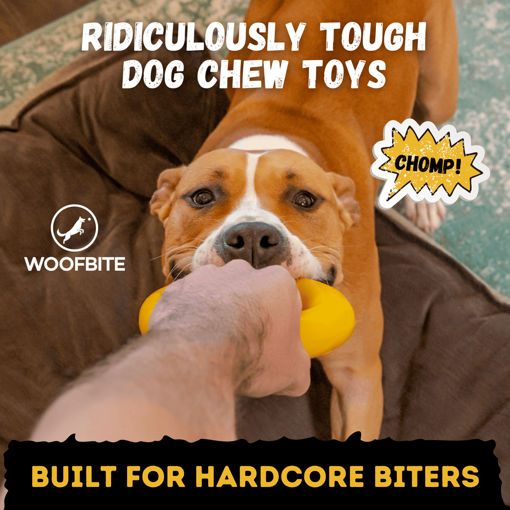 Monster K9 Dog Toys - Power Ring
