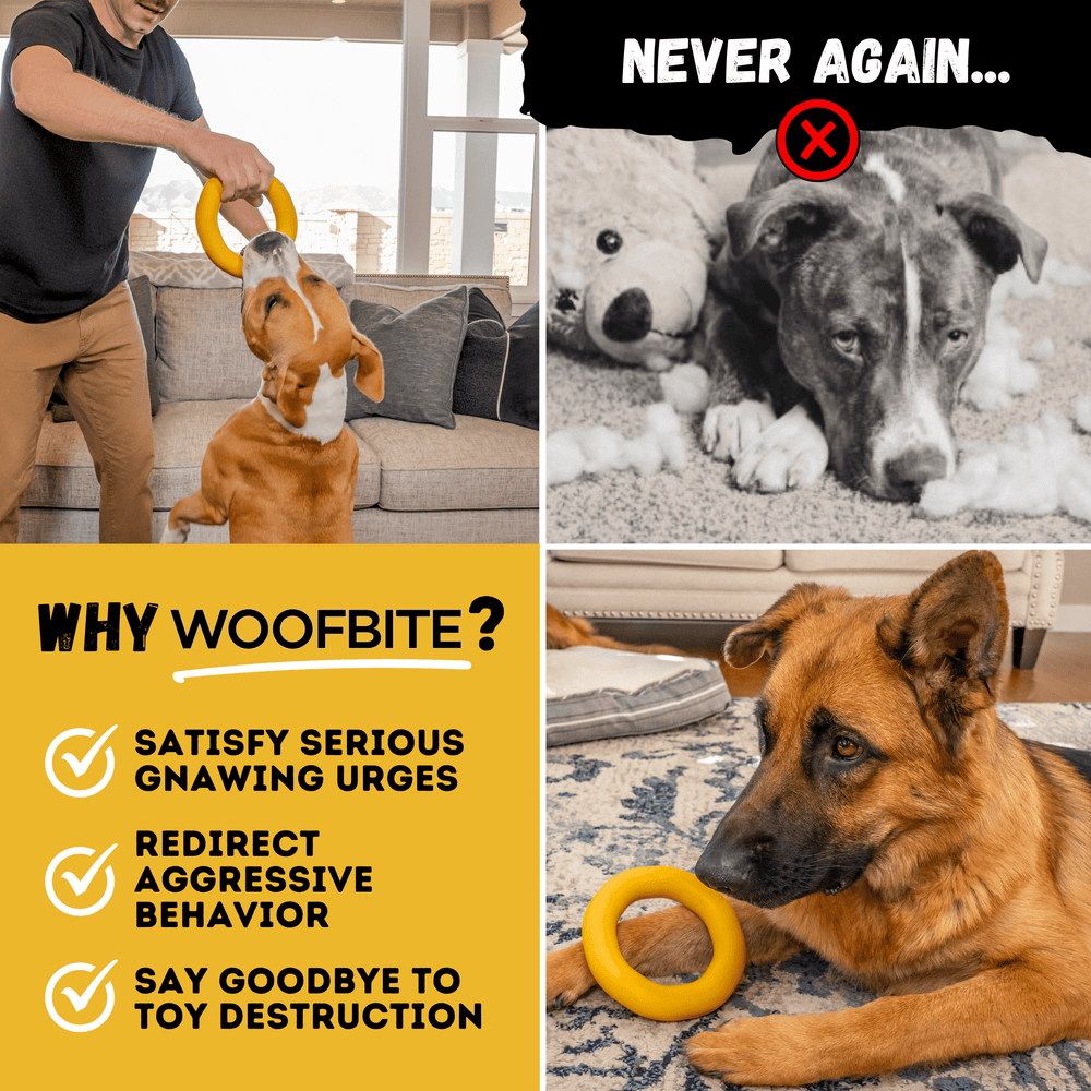 Monster K9 Dog Toys - Power Ring