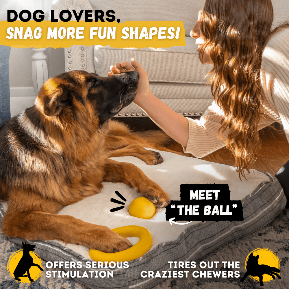 Monster K9 Dog Toys - Power Ring