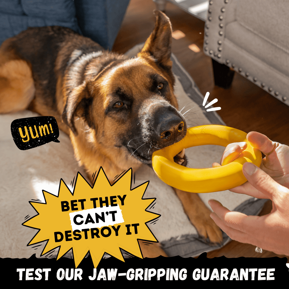 Monster K9 Dog Toys - Power Ring