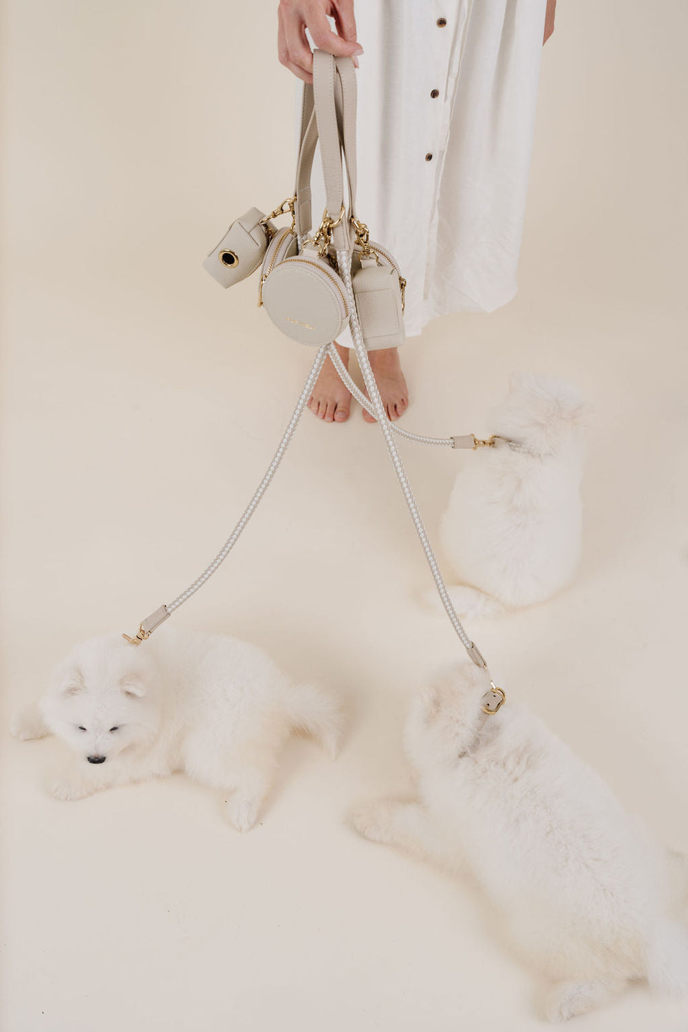 Pupwell - City Walk Kit