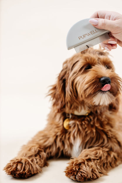 Pupwell - Detailer Comb