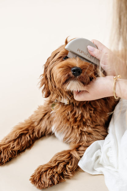 Pupwell - Detailer Comb