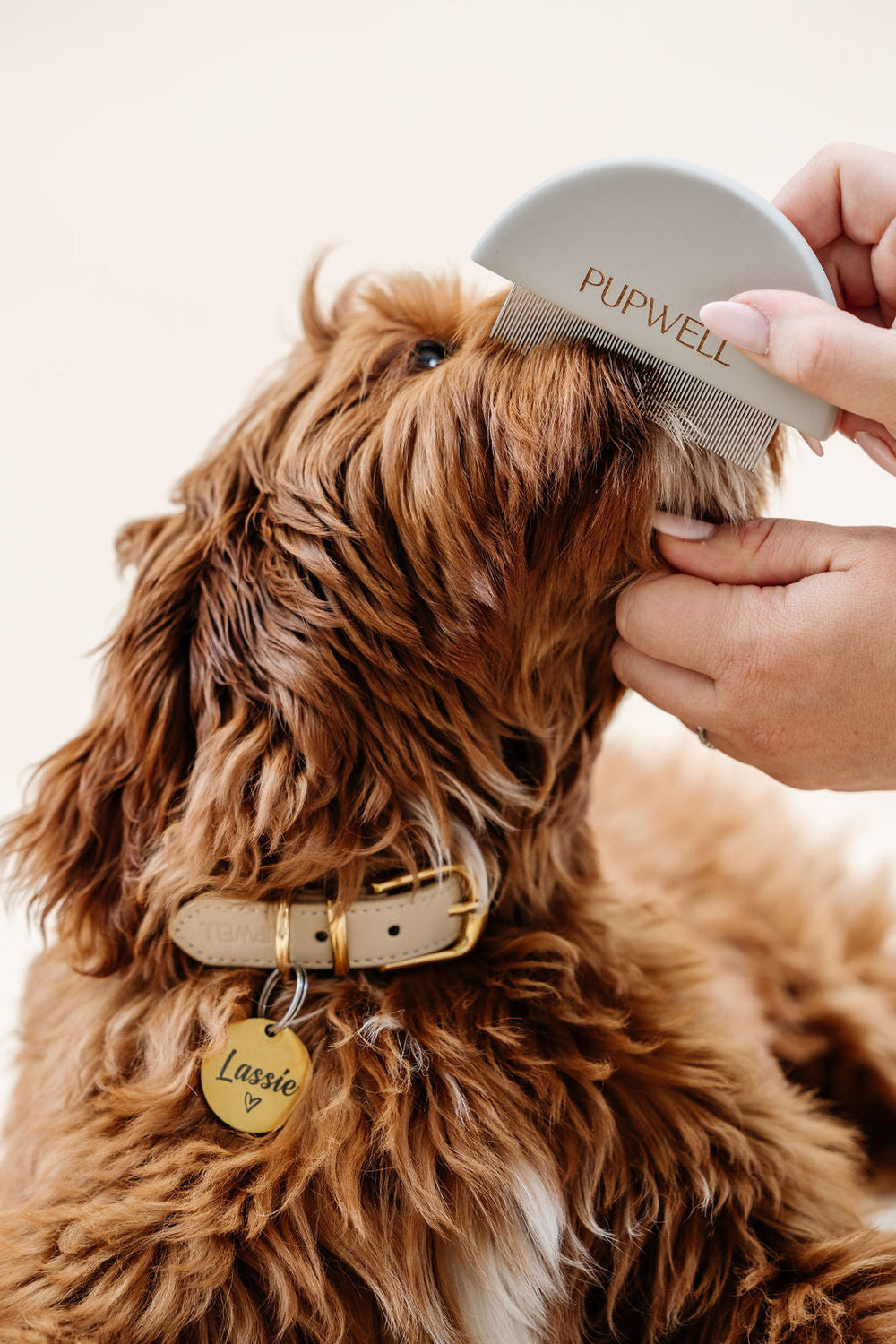 Pupwell - Detailer Comb