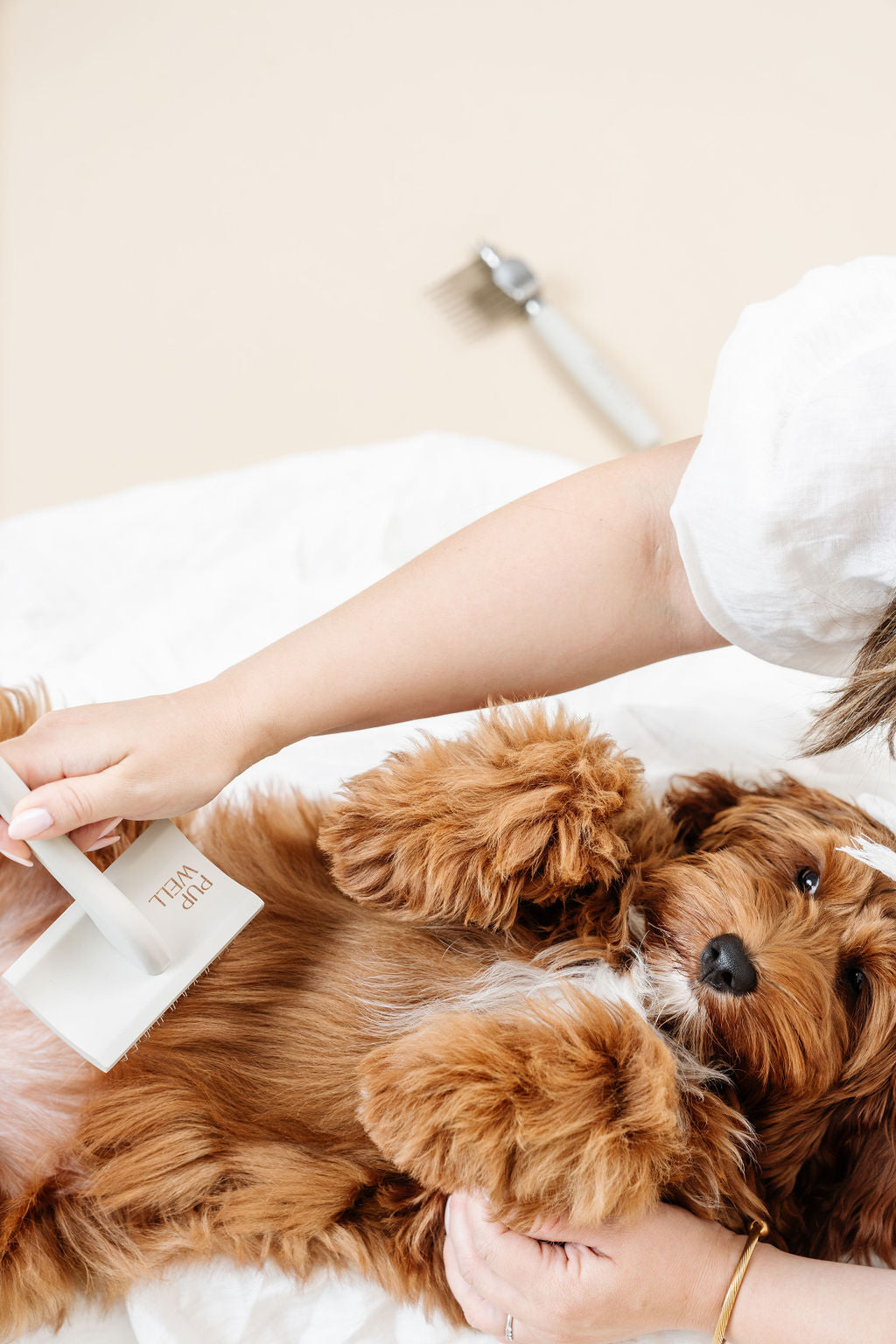 Pup Parent Essentials Kit