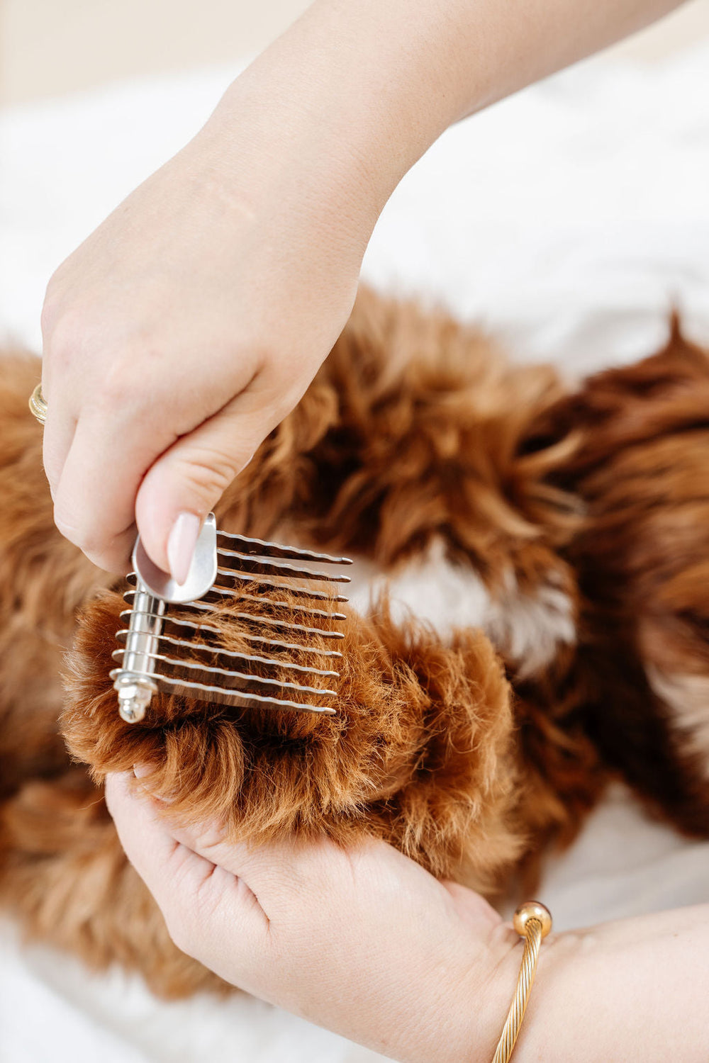 Pup Parent Essentials Kit
