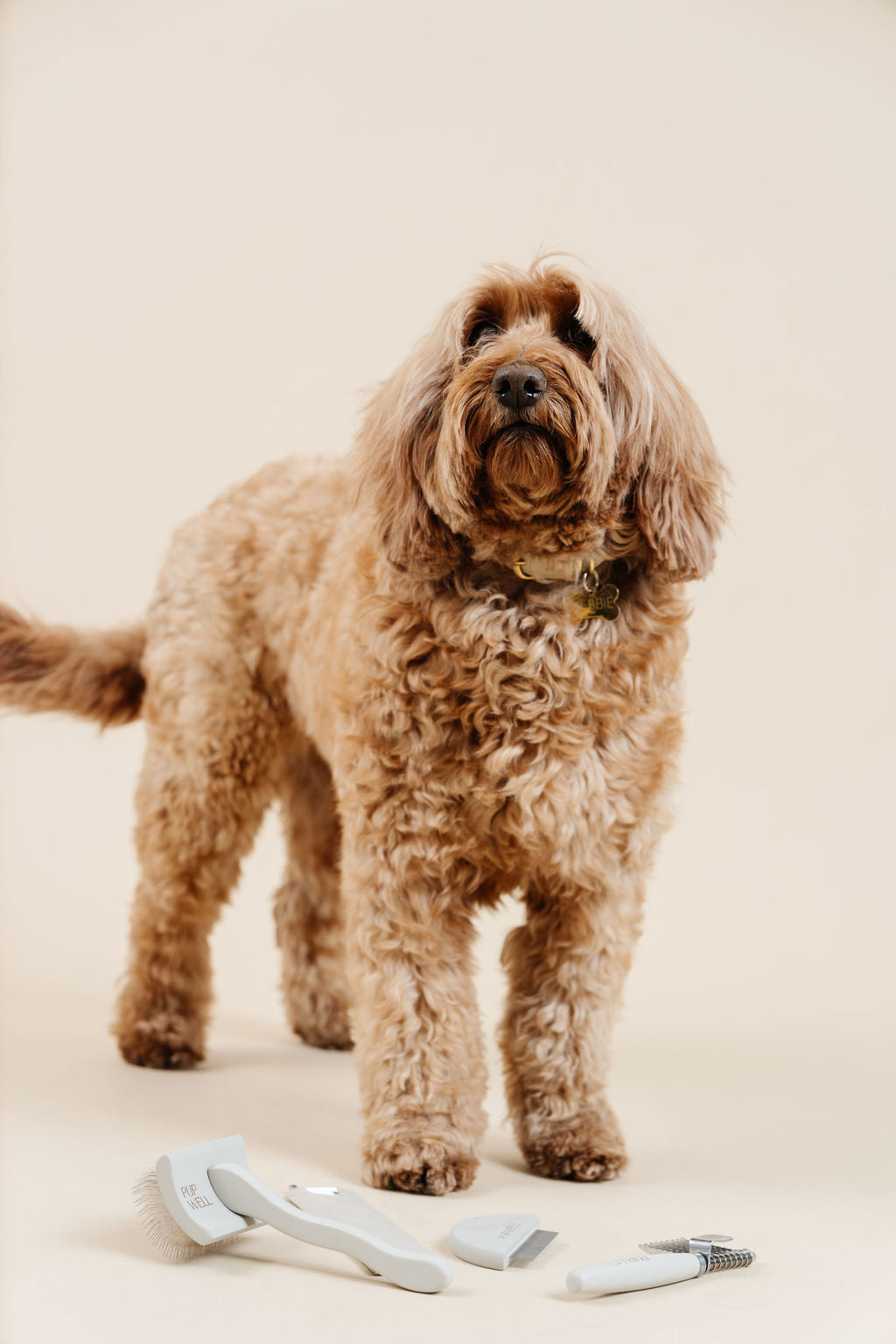 Pup Parent Essentials Kit