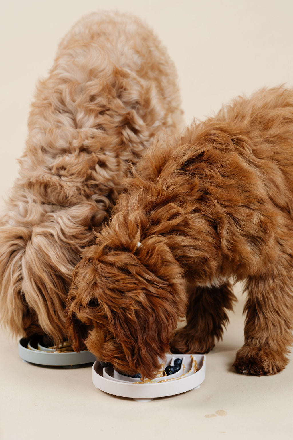 Pupwell - Happy Feelings Lick Mat