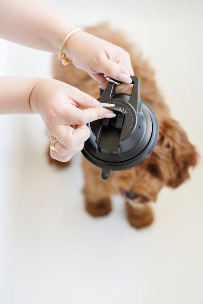 Pupwell - Stay In Place Dog Leash