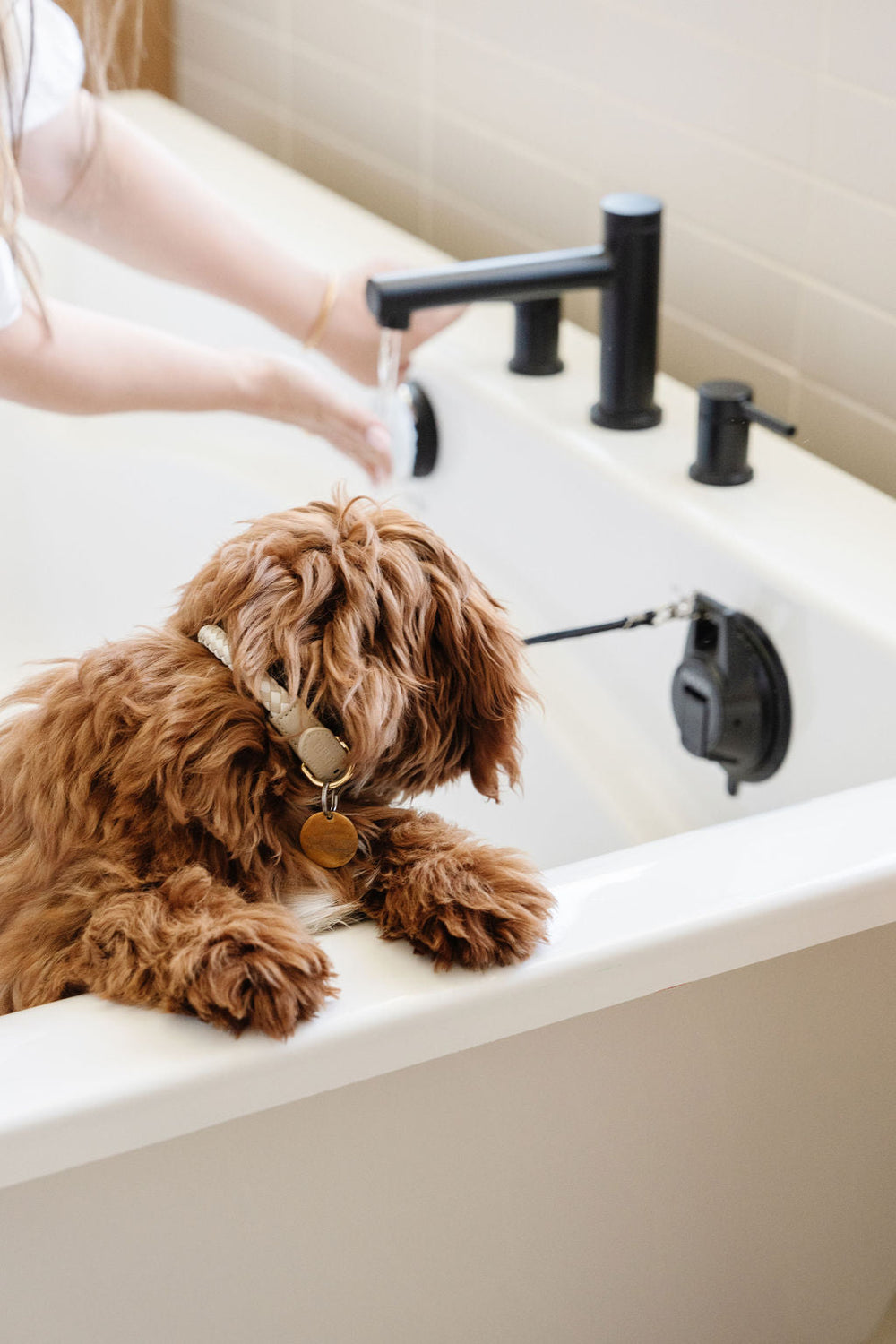 Pupwell - Stay In Place Dog Leash