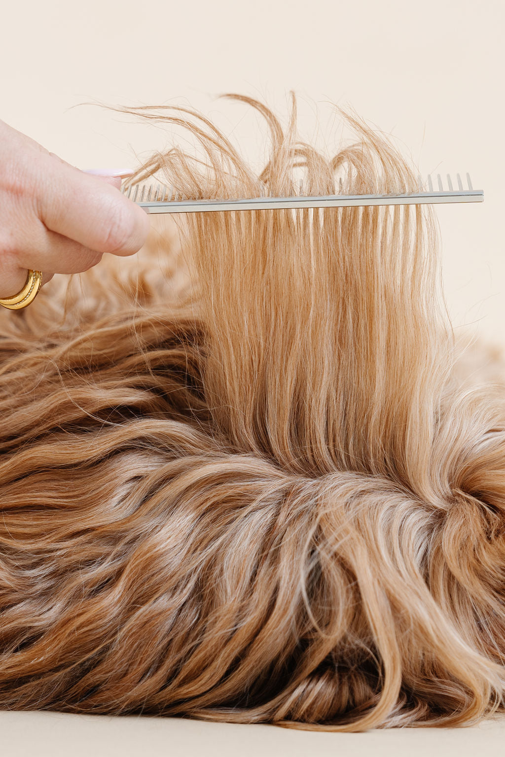 Pup Parent Essentials Kit