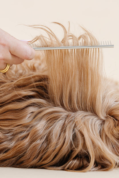 Pup Parent Essentials Kit