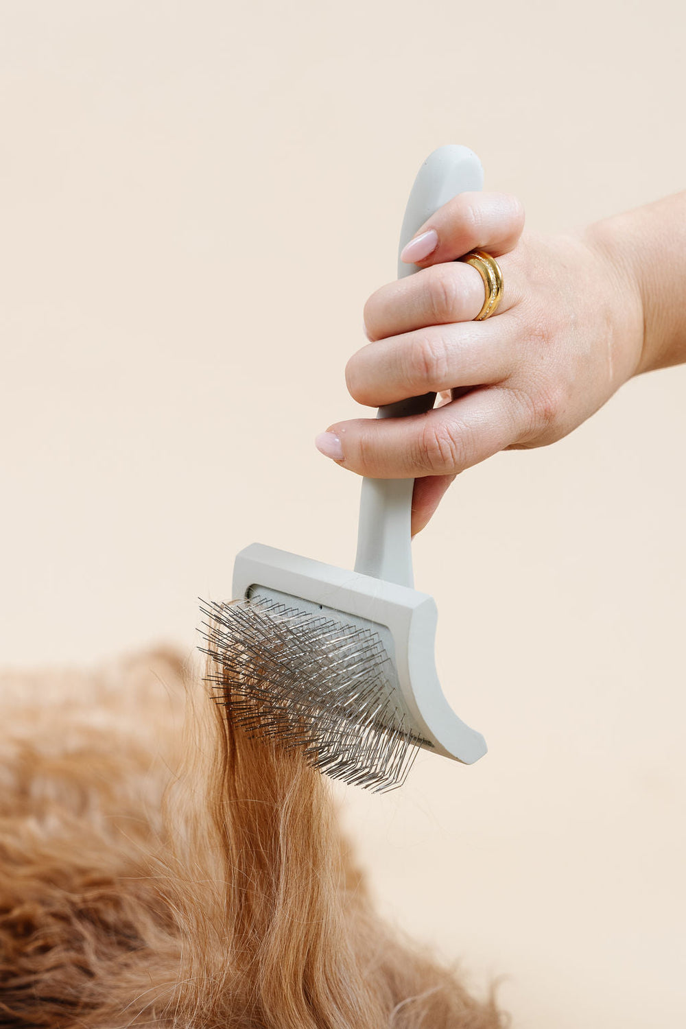 Pup Parent Essentials Kit
