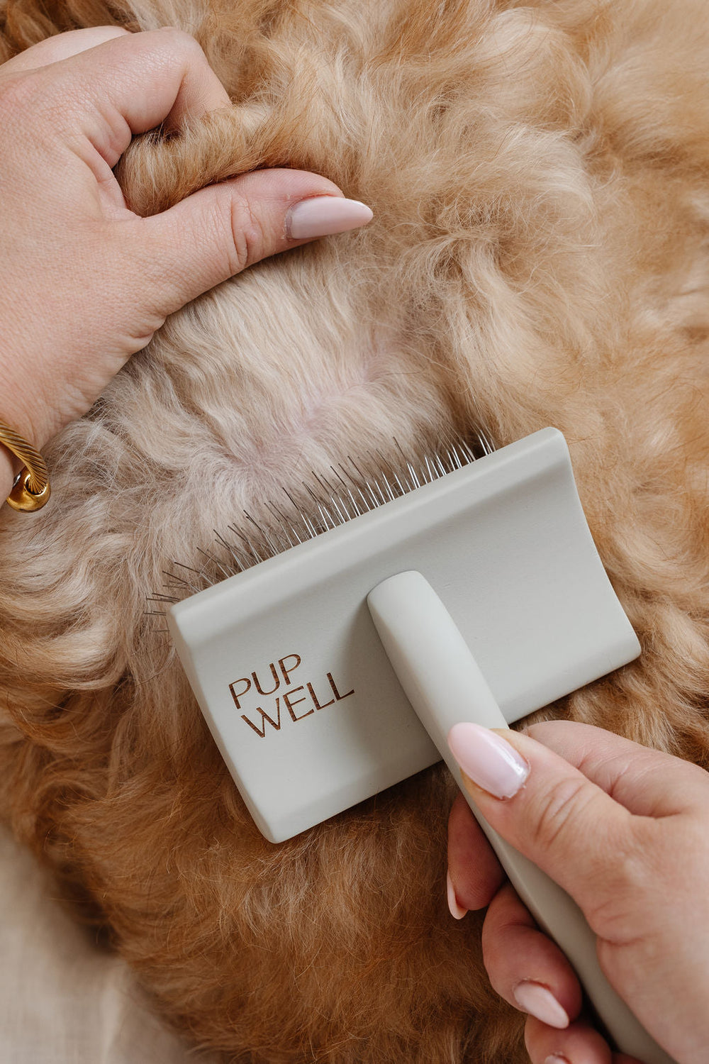 Pup Parent Essentials Kit
