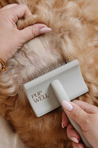 Pup Parent Essentials Kit