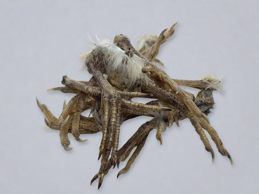 Quail feet Dog Training aid & Dog Treat