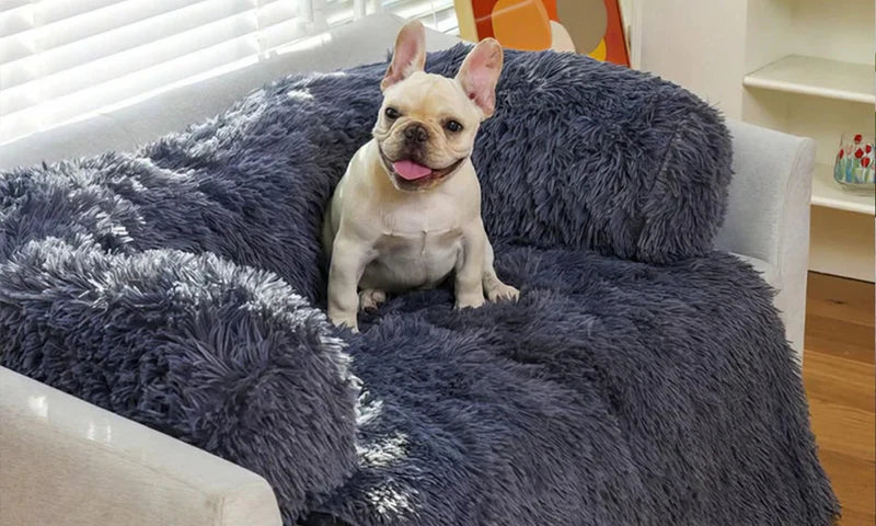 Anti-Anxiety Dog Sofa Bed