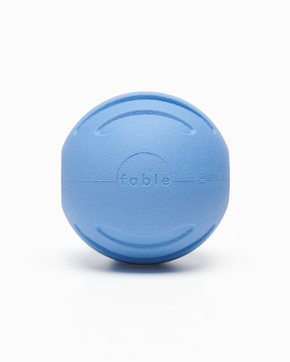 Fable - Signature Ball Dog Toy