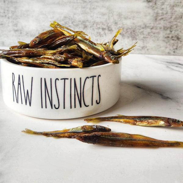 Raw Instincts - Dehydrated Atlantic Silverside – 2oz  Small Batch Florida Fish Treat for Cats & Dogs