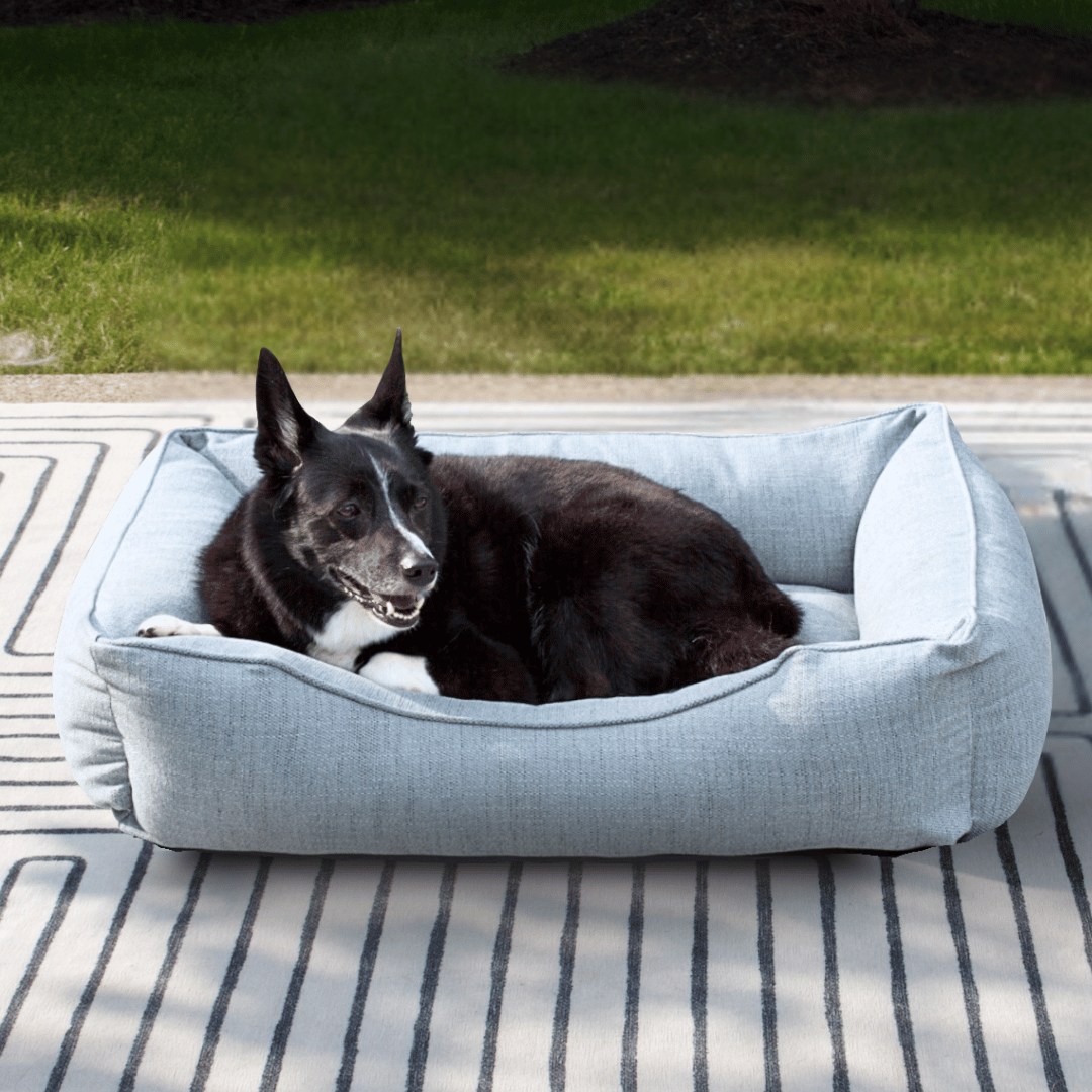 FÜZI - The Sammy Dog Bed