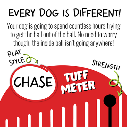 Jolly Pets -  Teaser Ball