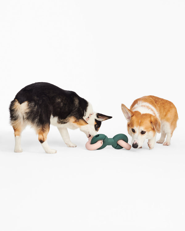 Fable - Twin Falcon Dog Toy