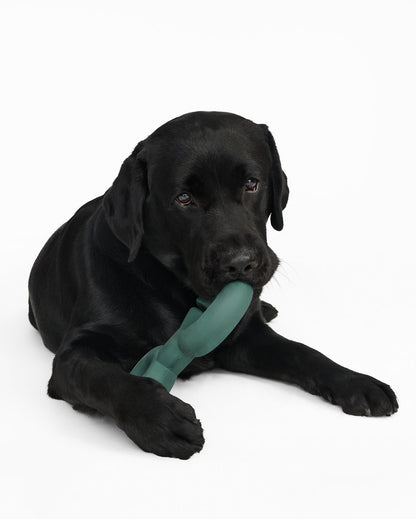 Fable - Twin Falcon Dog Toy