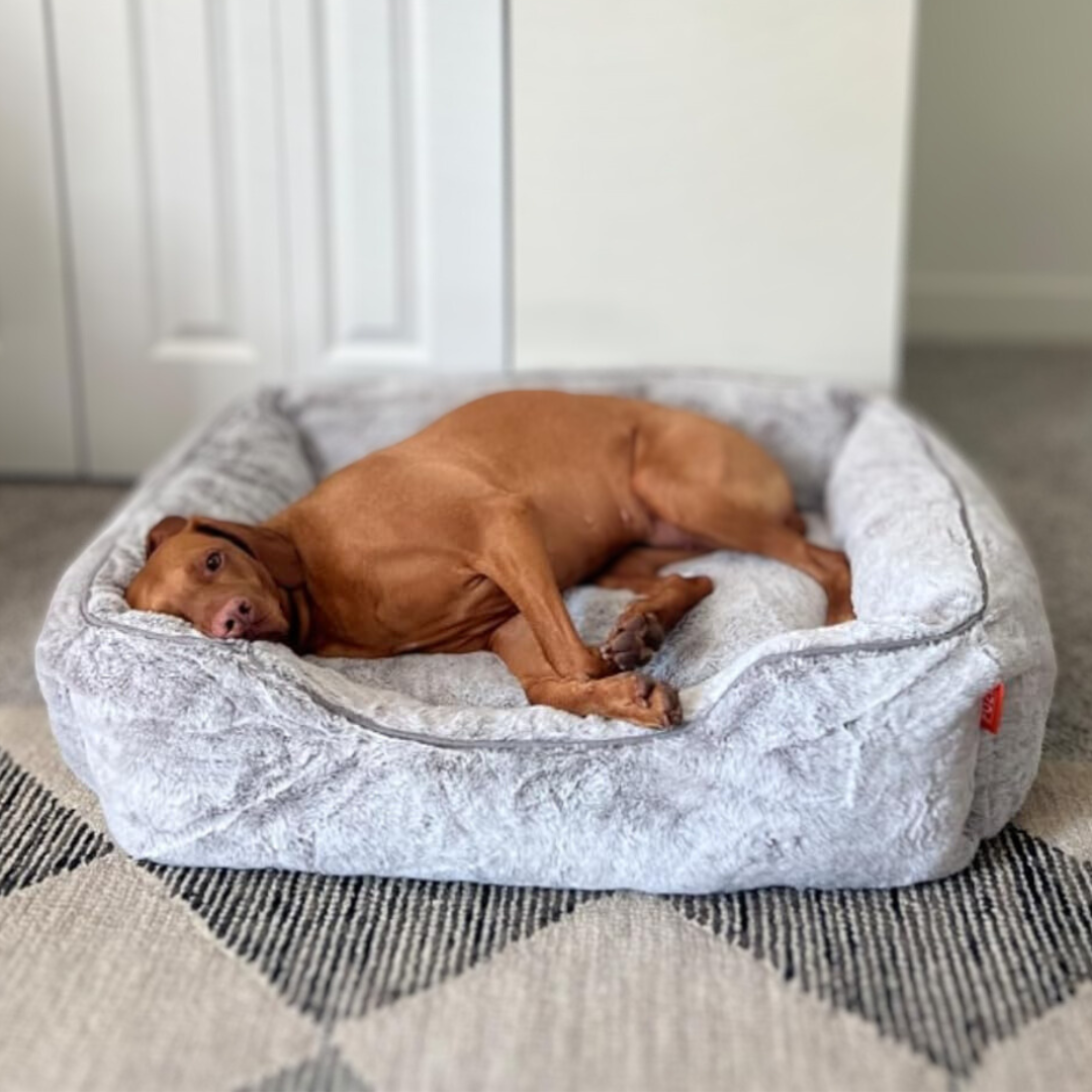 FÜZI - The Sammy Dog Bed