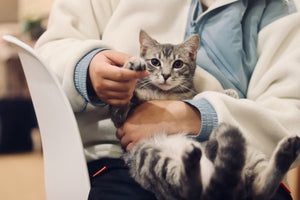 Vet & Breeders